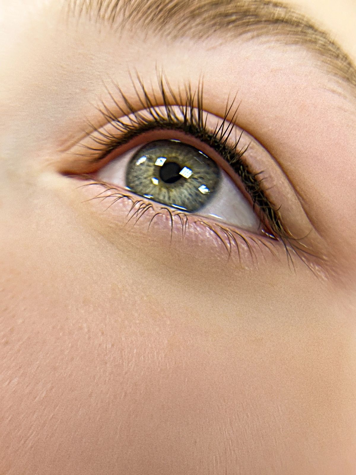 Веки (Межресничка)